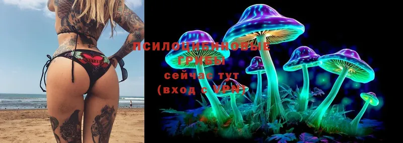 Галлюциногенные грибы мухоморы  купить   Кызыл 